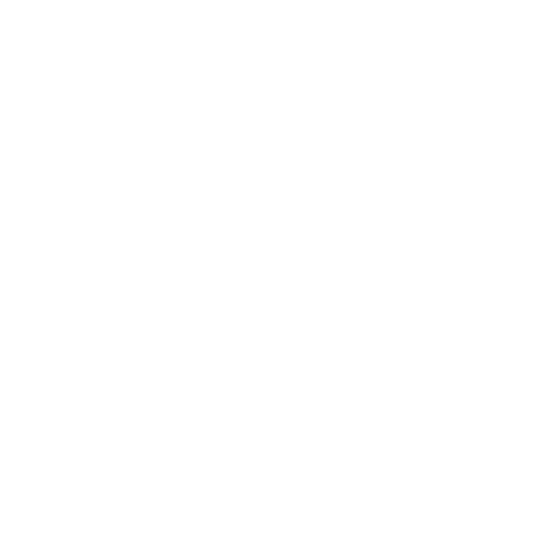 Spider Web Illustration